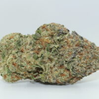 Super Lemon Haze THCA Hemp Flower