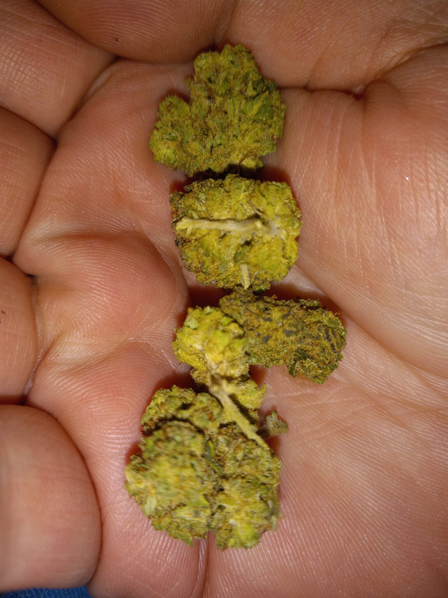 Image #1 from Daniel C