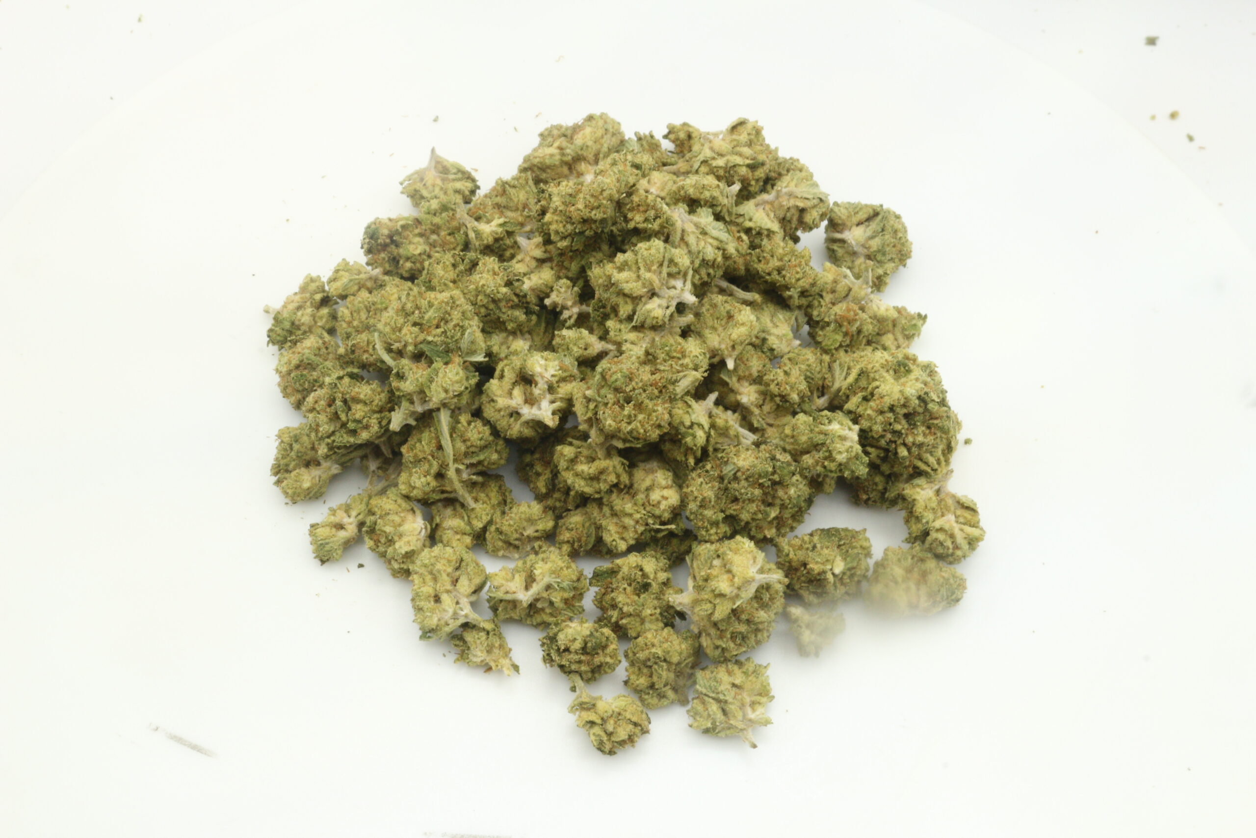 Georgia Pie THCA Hemp Flower Smalls Georgia Pie THCA Hemp Flower Smalls