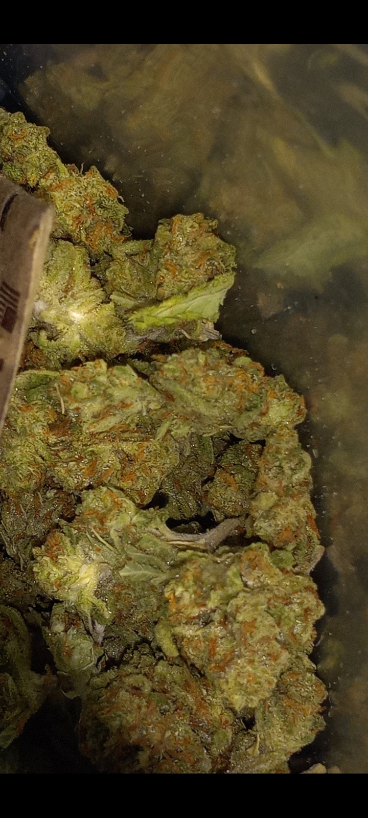 Image #1 from Daniel C