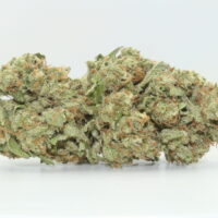 Sour Jack THCA Hemp Flower