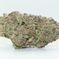 Sour Tangie THCA Hemp Flower