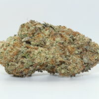 Strawberry Cough THCA Hemp Flower