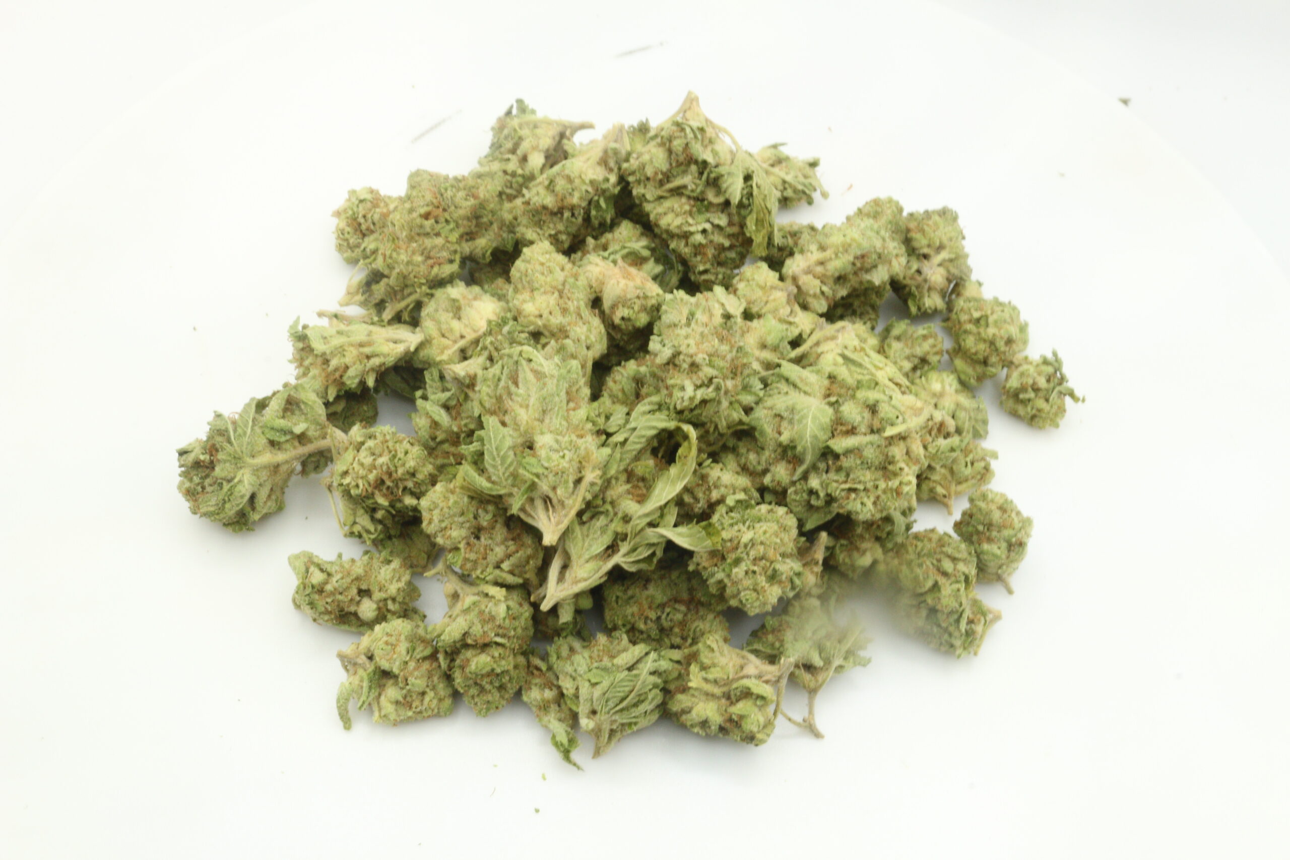 Sugar Shack THCA Hemp Flower Smalls Sugar Shack THCA Hemp Flower Smalls