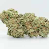 Tangie THCA Hemp Flower