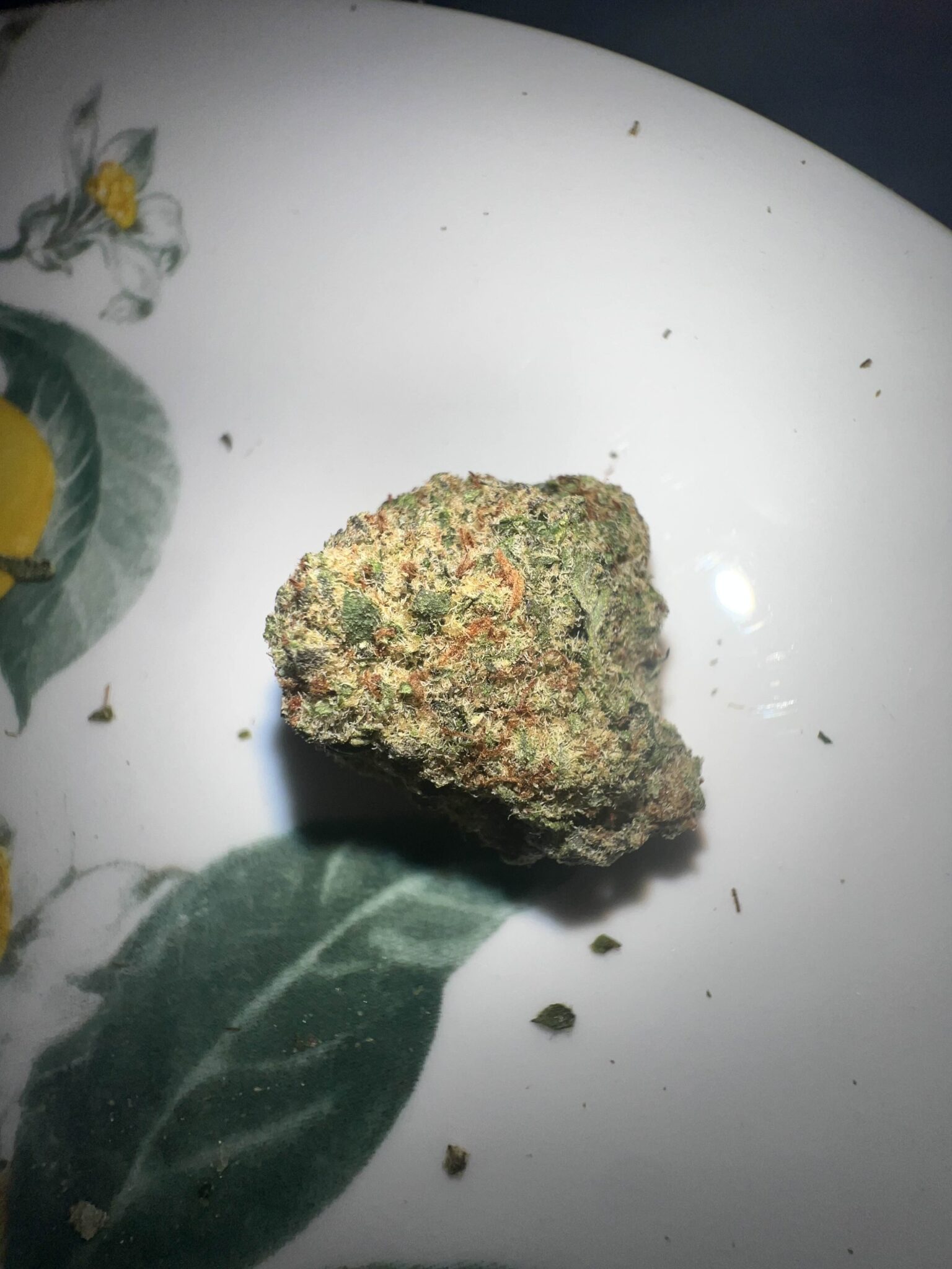 Image #1 from Demetrius Dechant-Nolan