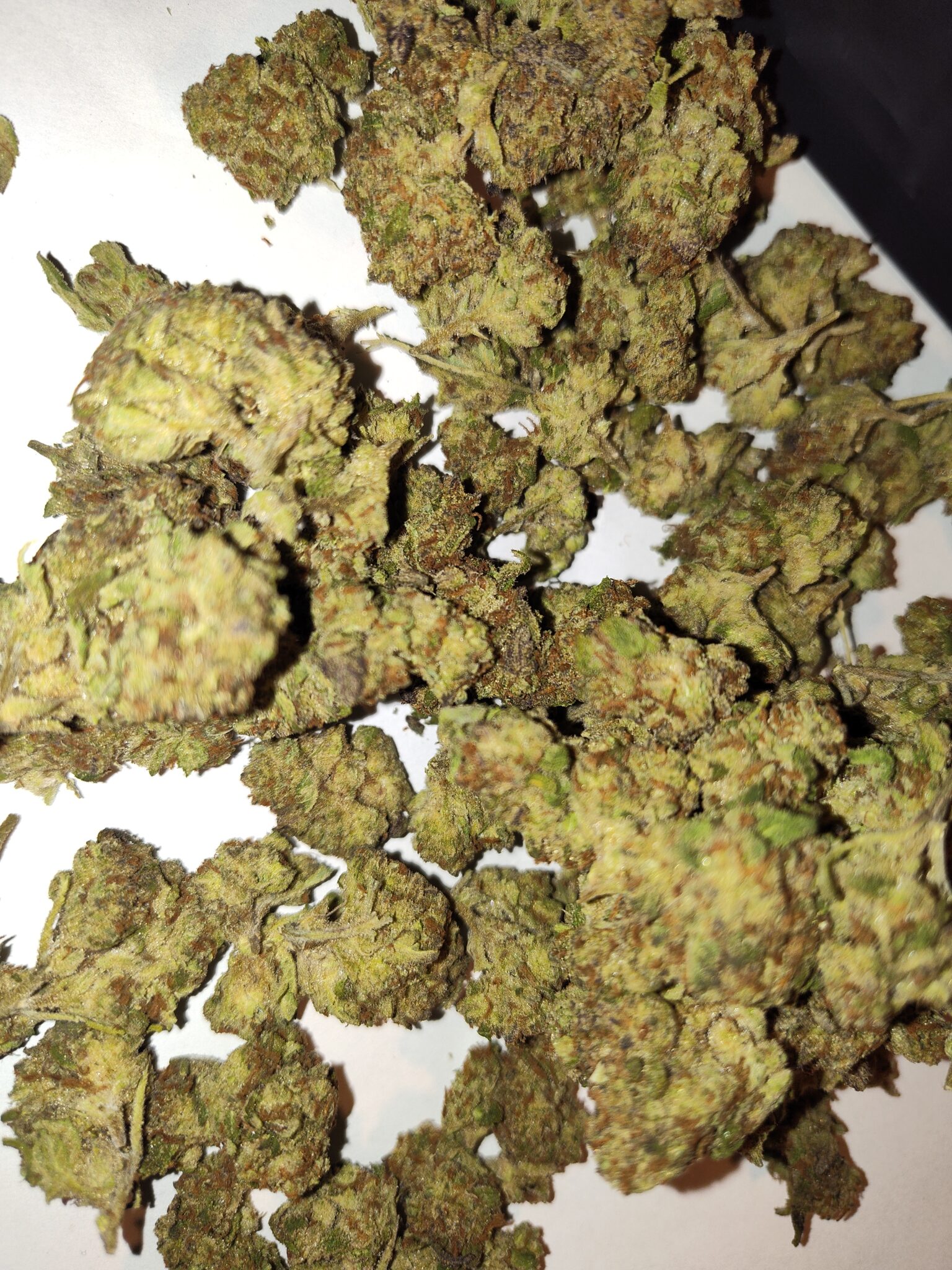 Image #2 from Daniel C