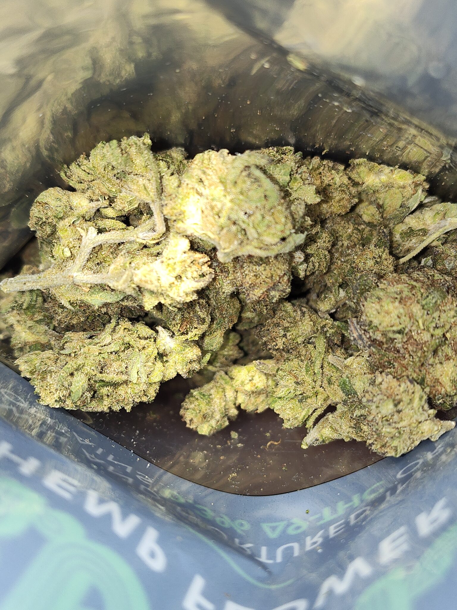 Image #2 from Daniel C