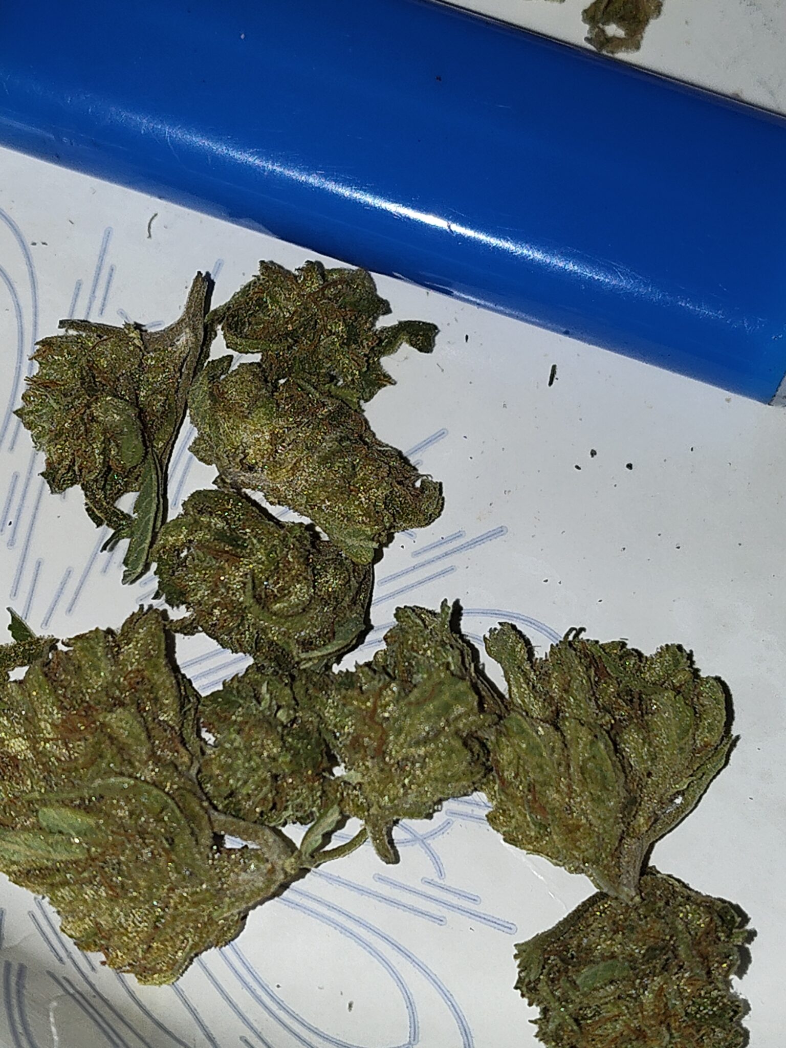 Image #1 from Daniel C