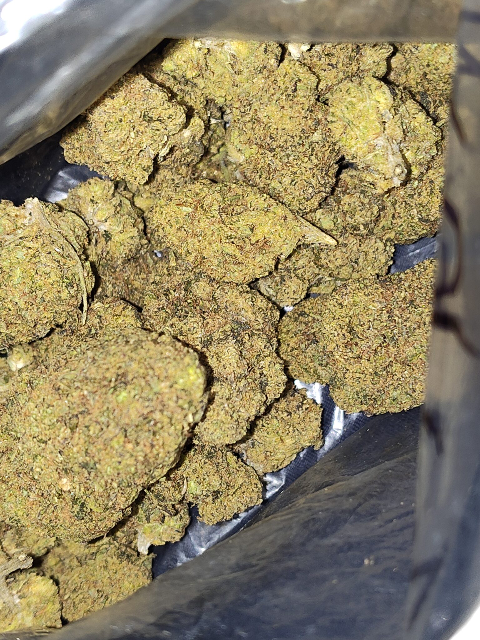 Image #1 from Daniel