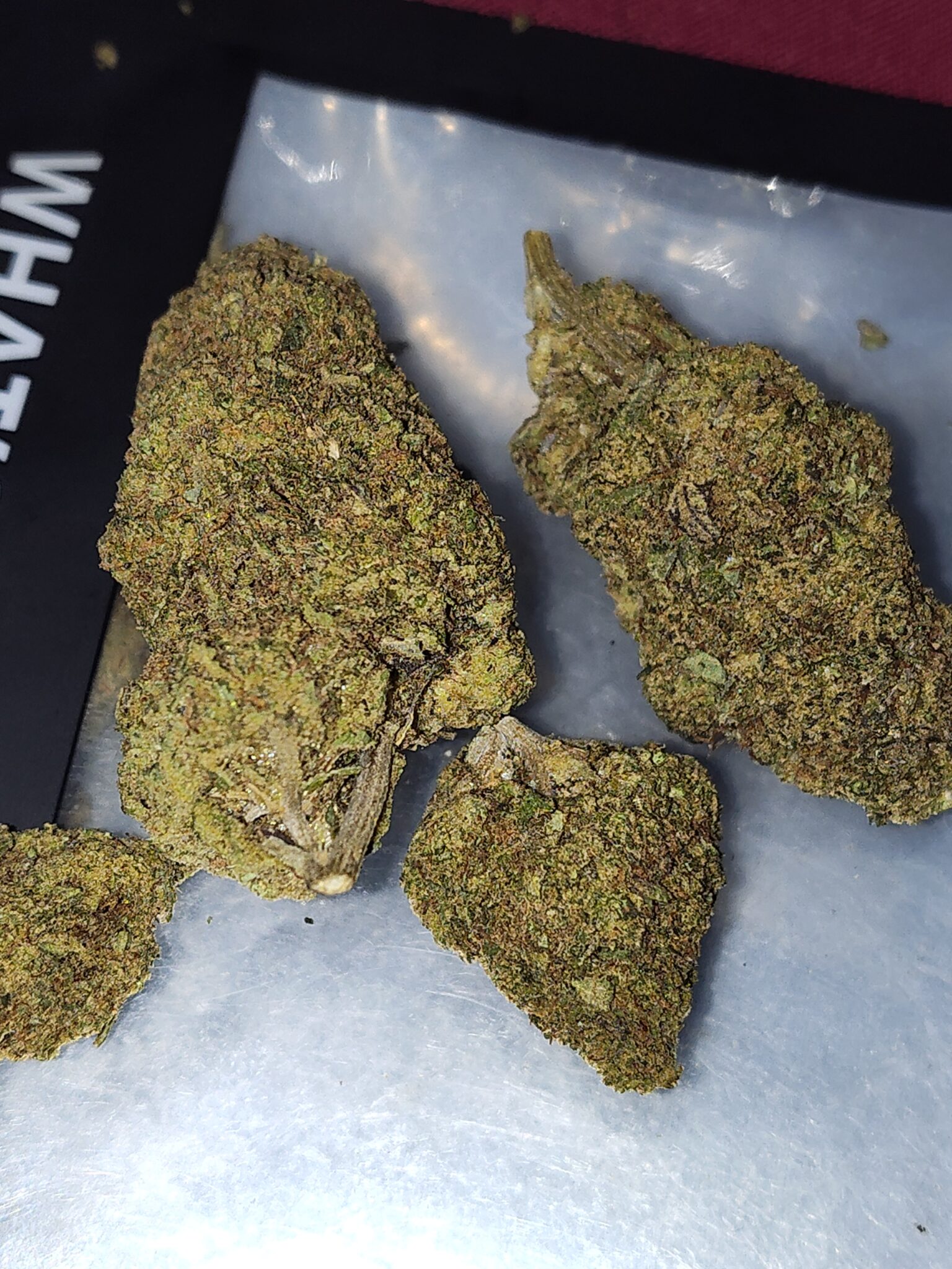 Image #2 from Daniel