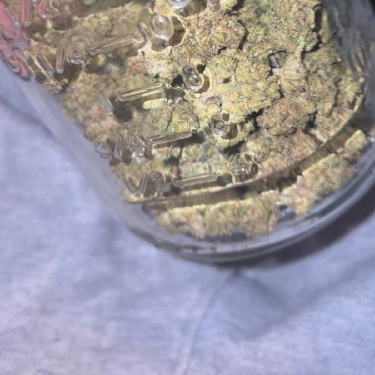 Image #1 from Dr.Ganja Customer