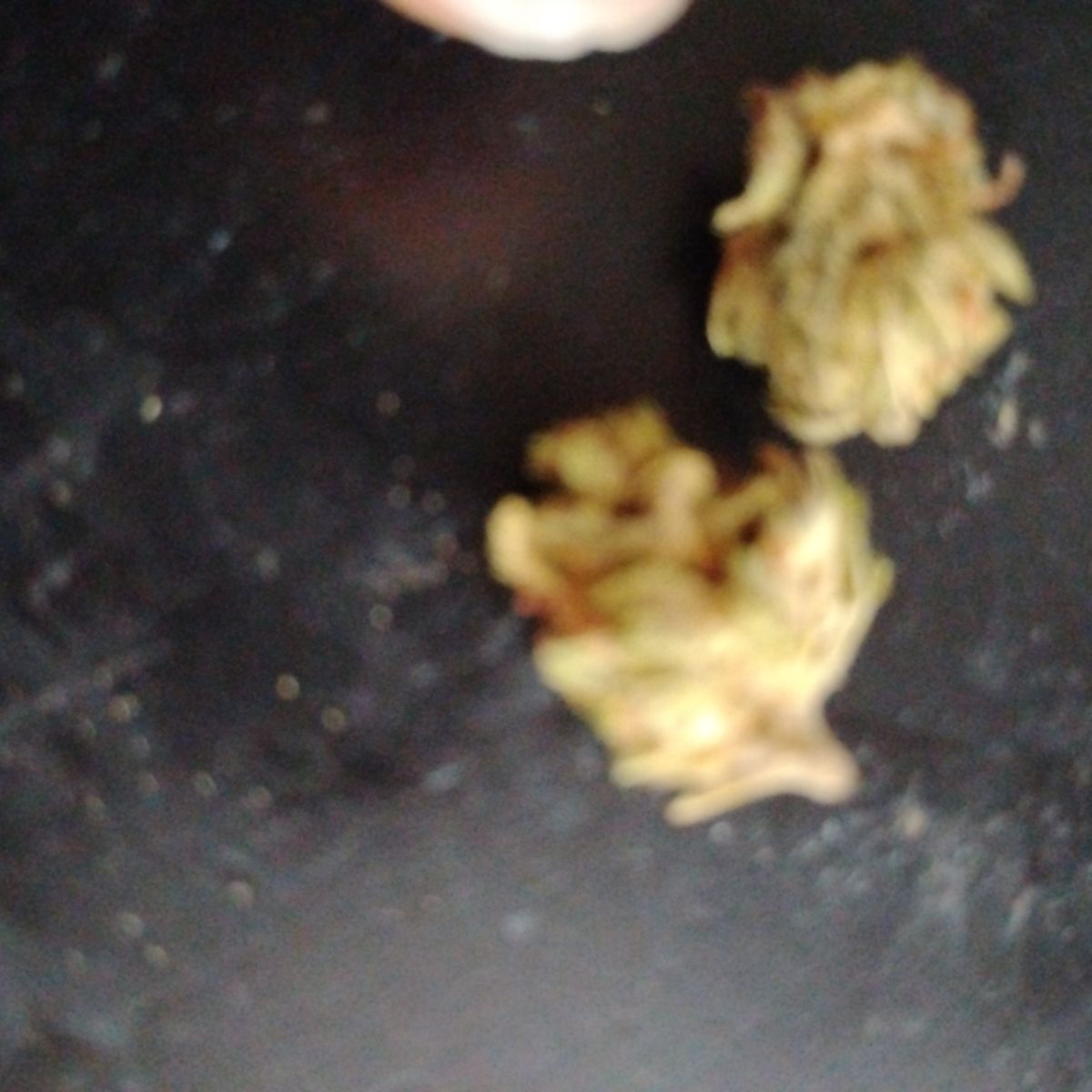 Image #2 from Jamar L.