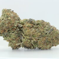 Agent Orange THCA Hemp Flower