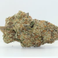 Amnesia Haze THCA Hemp Flower