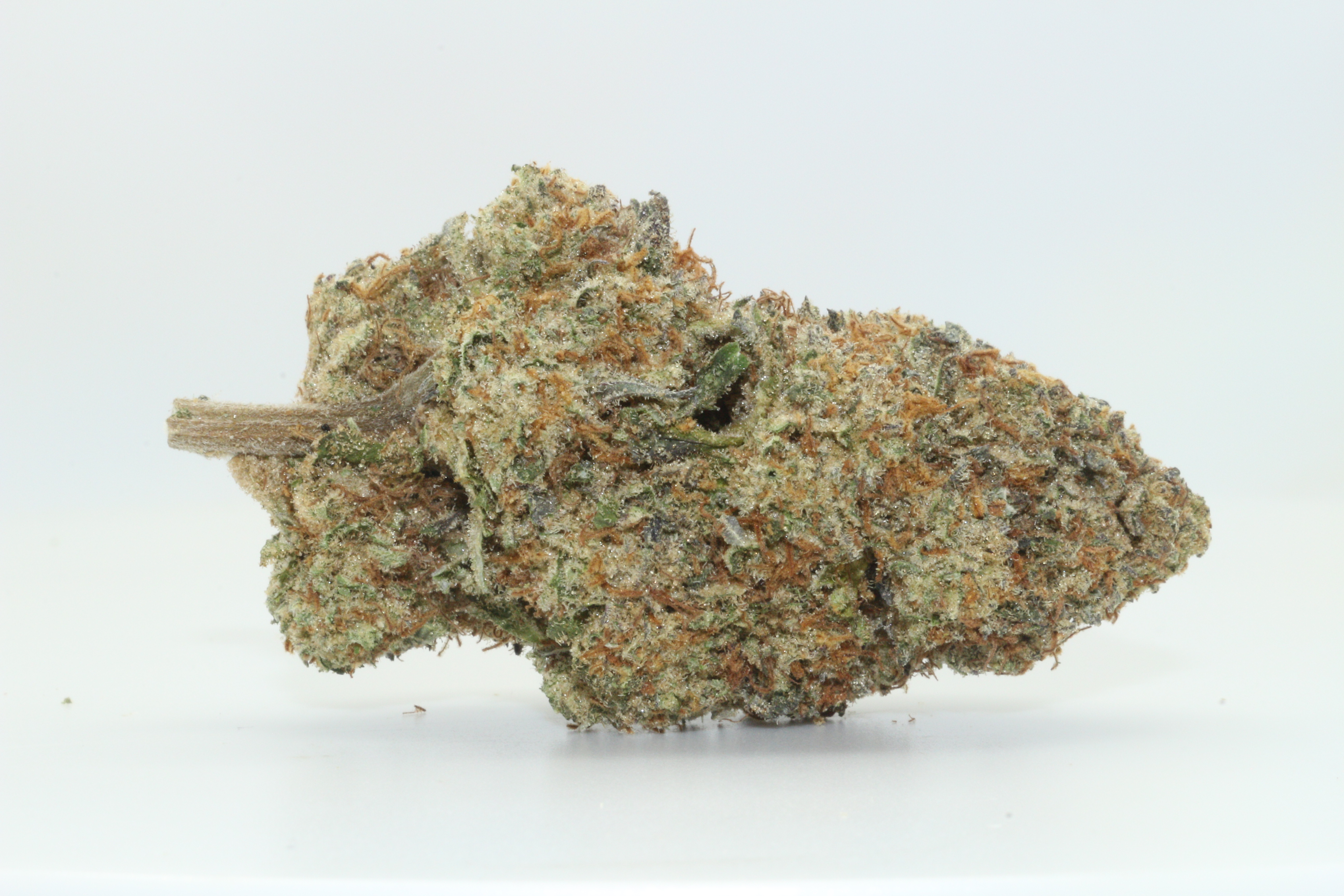 Amnesia Haze
