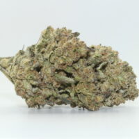 Grape Gasoline THCA Hemp Flower