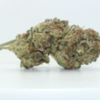 Nectarine Jelly THCA Hemp Flower