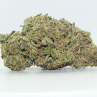 Tropical Punch THCA Hemp Flower