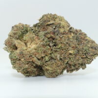 Tropicana Cookies THCA Hemp Flower