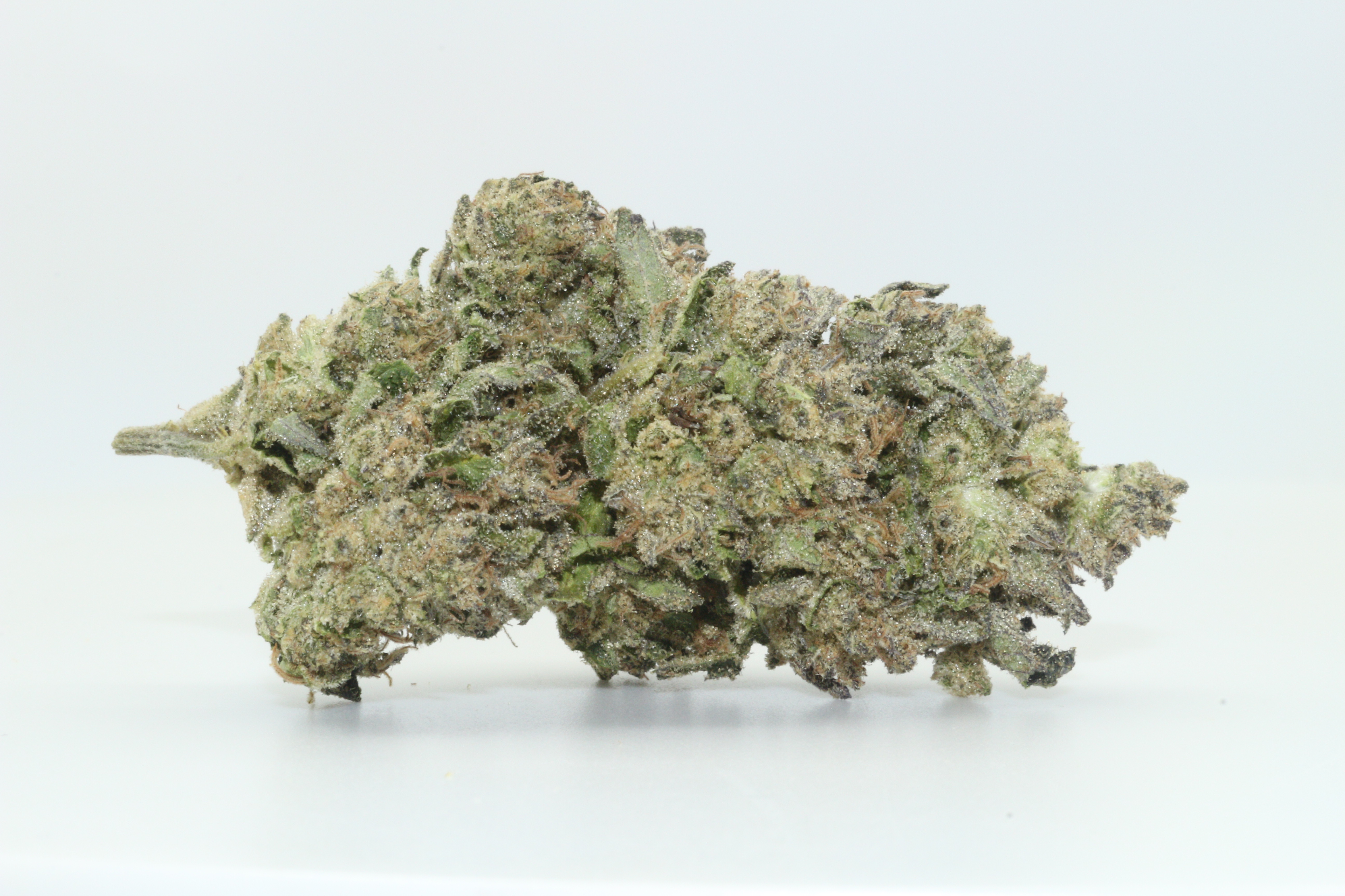 Tropicana Cookies
