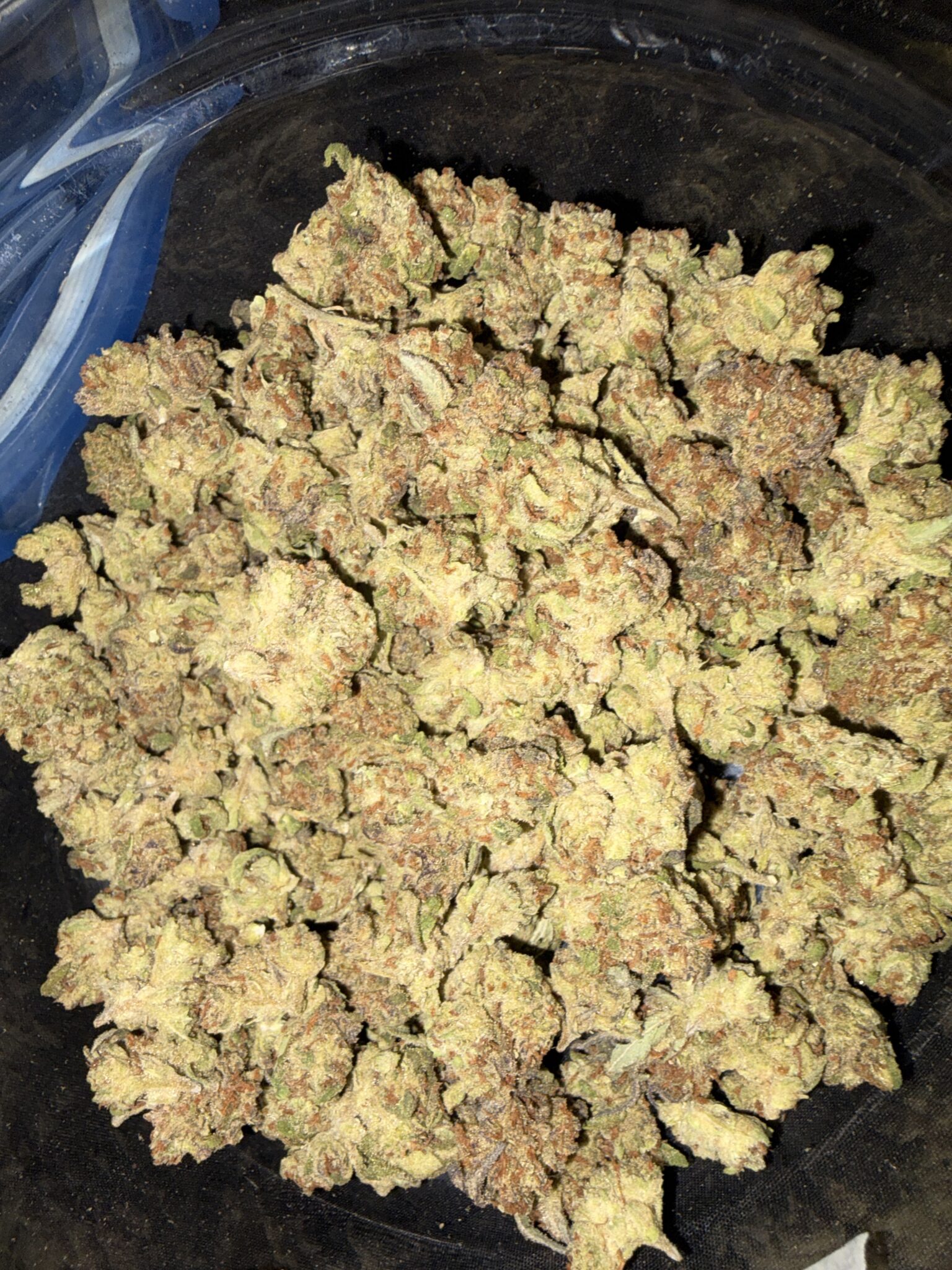 Image #1 from Daniel