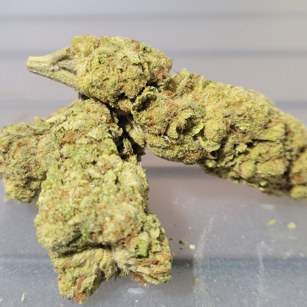 Image #1 from Darren Roberts