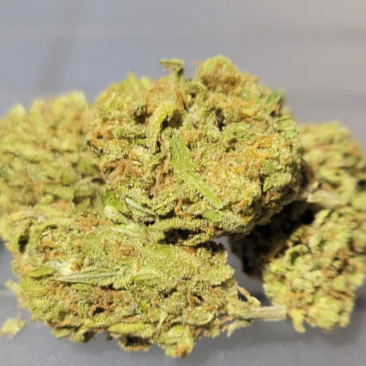 Image #1 from Darren Roberts