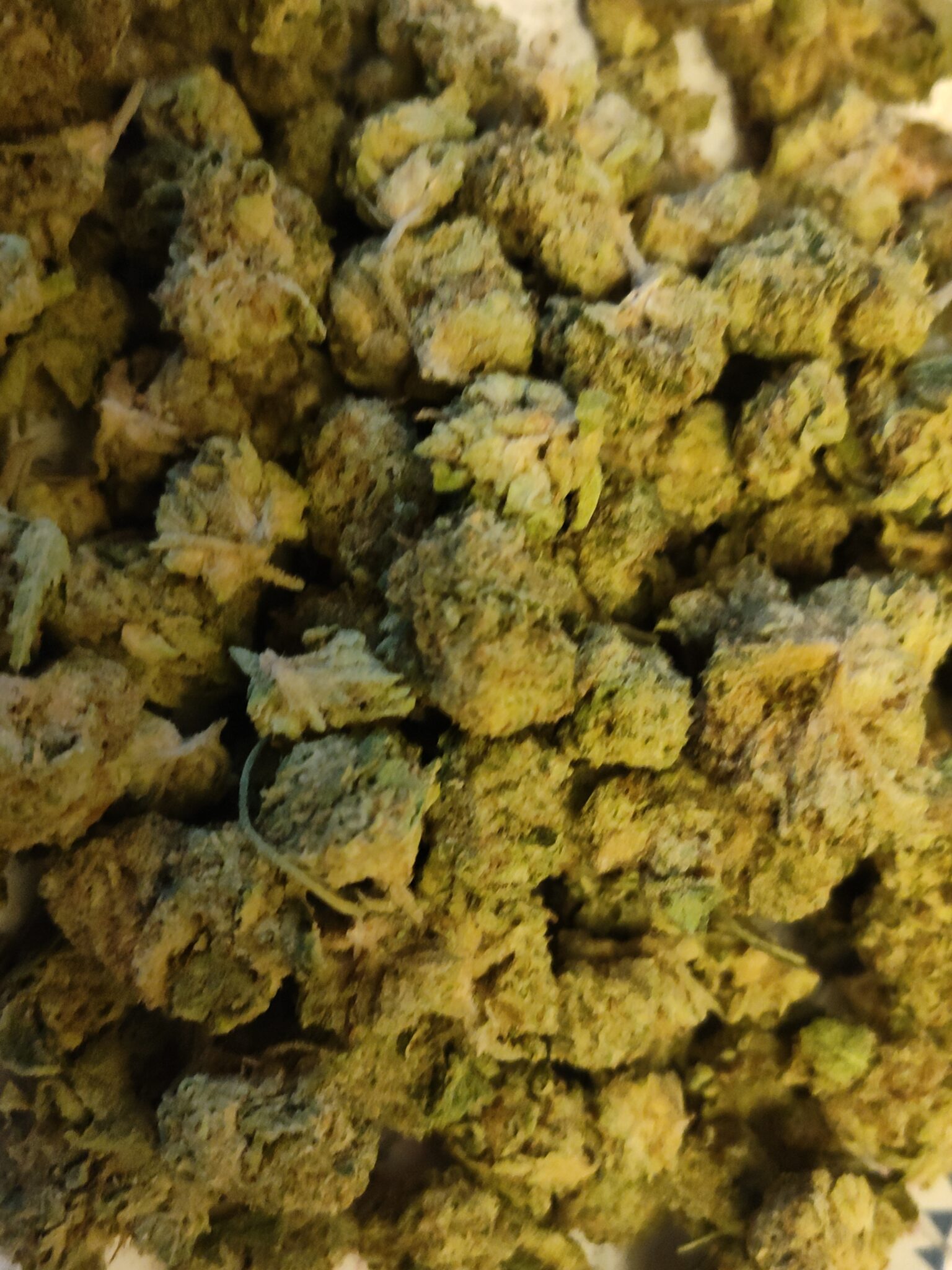 Image #3 from Daniel C