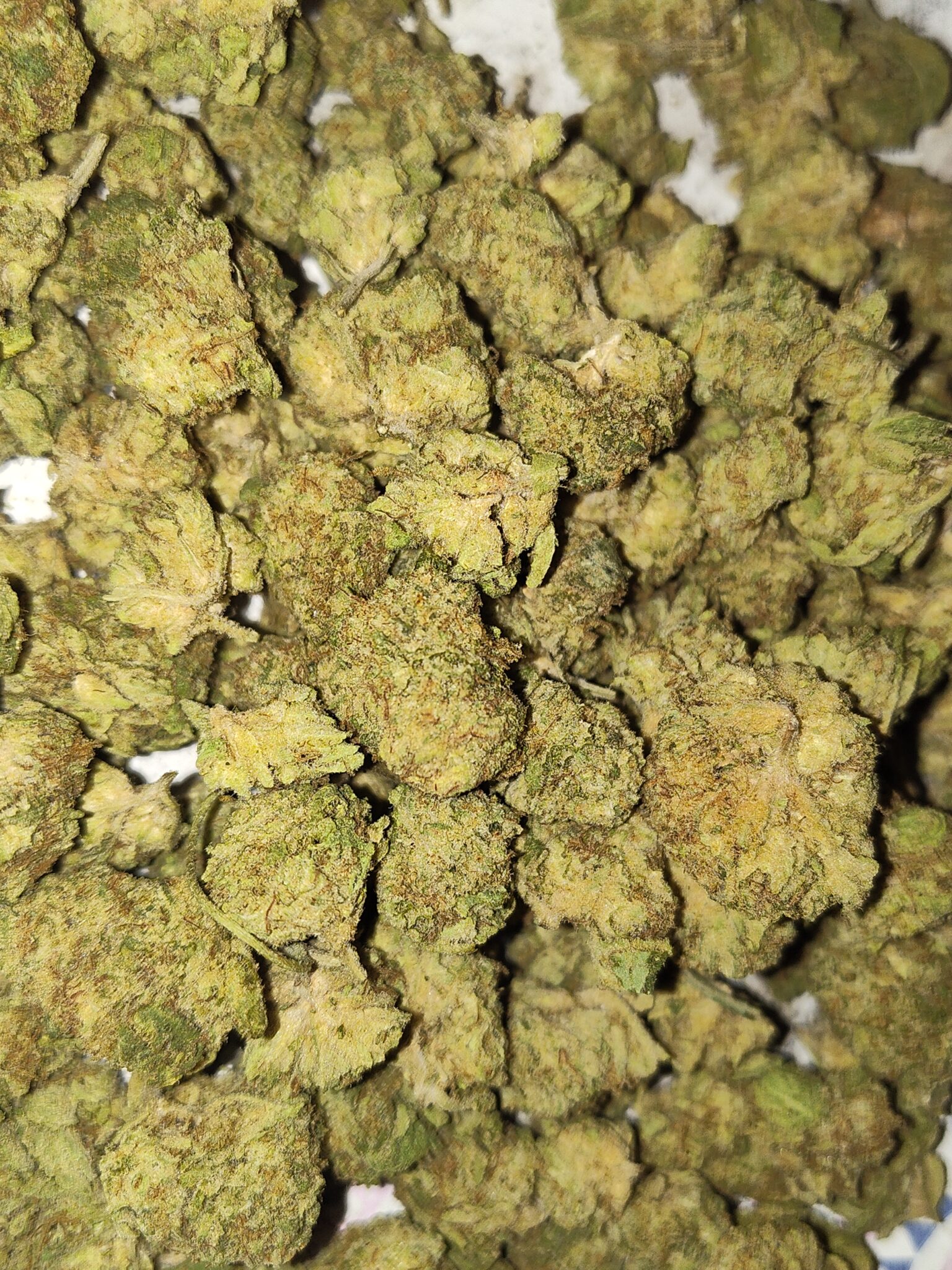 Image #2 from Daniel C