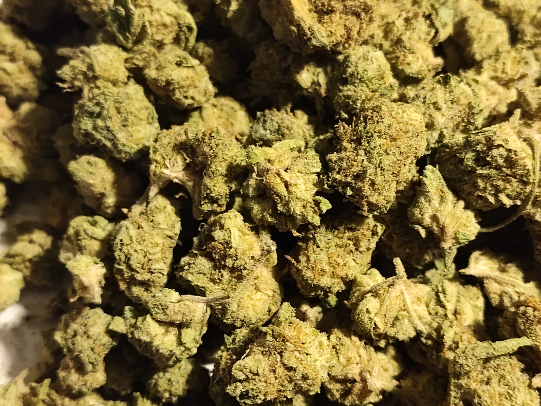 Image #1 from Daniel C