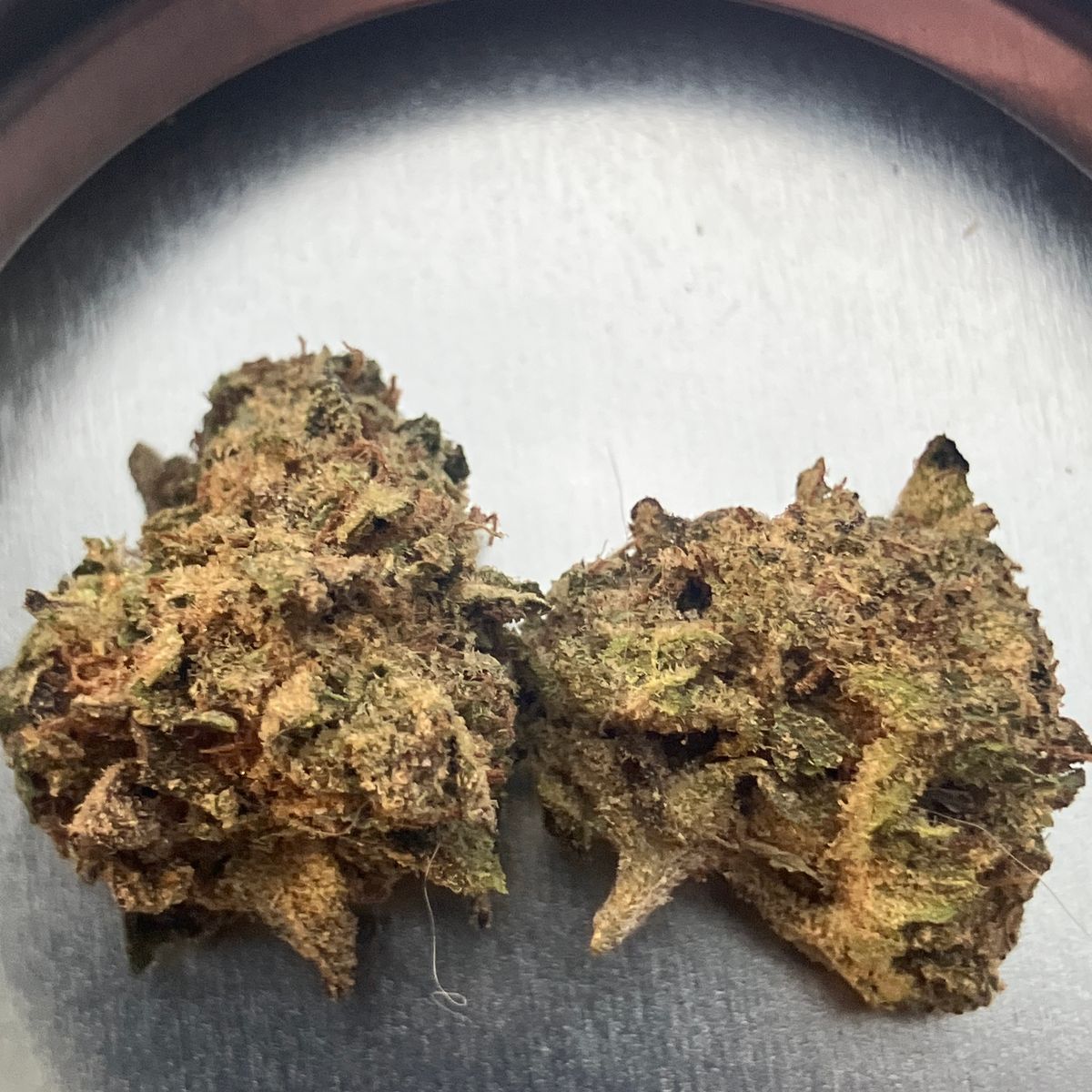 Image #2 from Dr.Ganja Customer