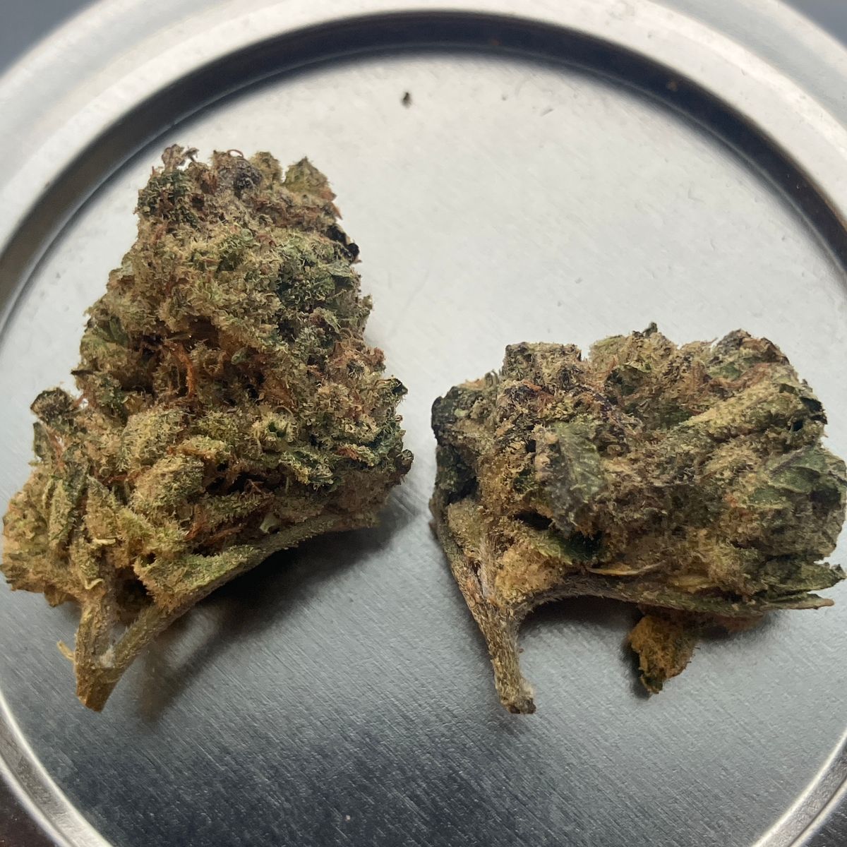Image #2 from Dr.Ganja Customer