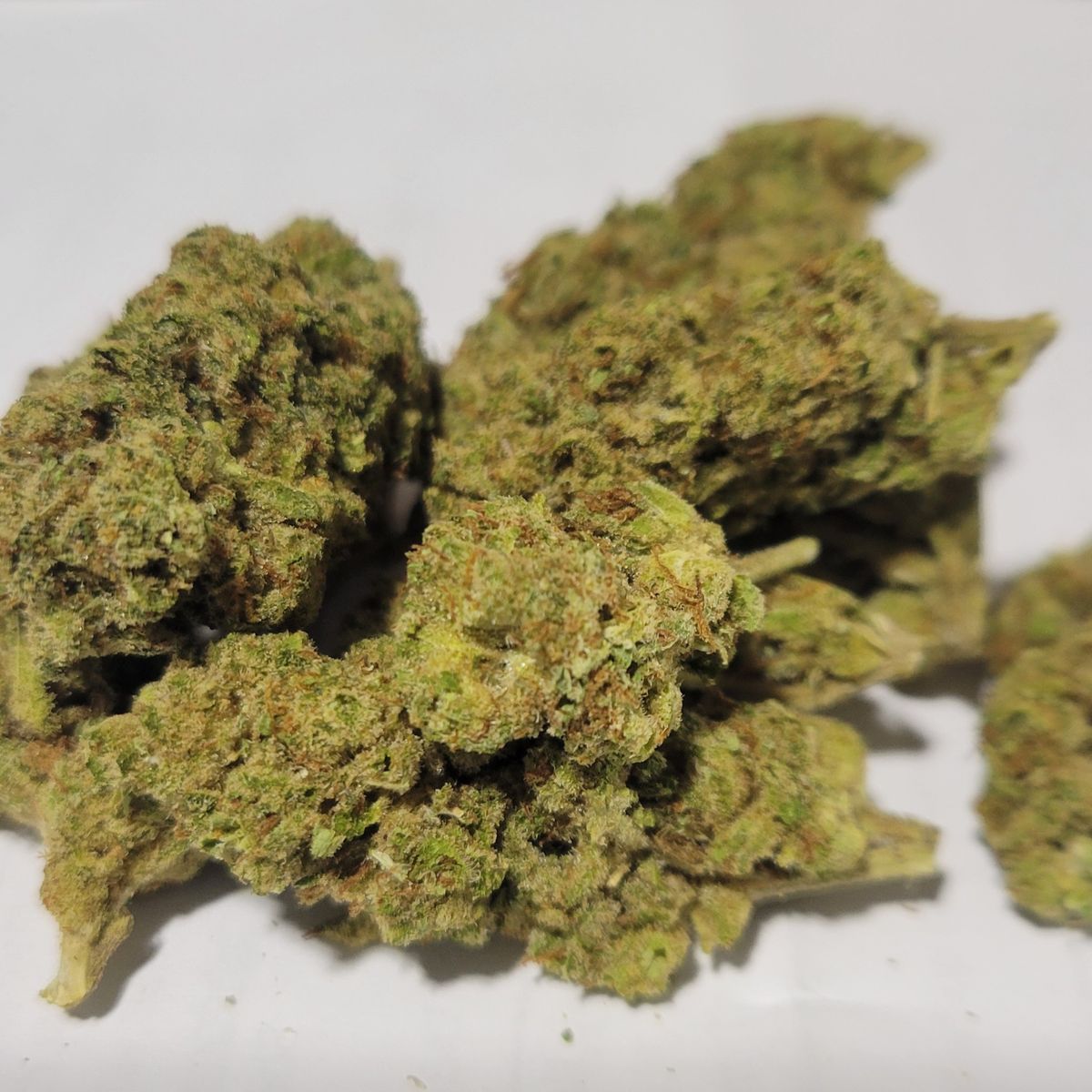 Image #1 from Darren Roberts