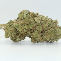 Astronaut Status THCA Hemp Flower