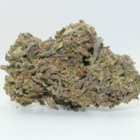 Grapefruit THCA Hemp Flower