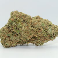 Mango Kush THCA Hemp Flower