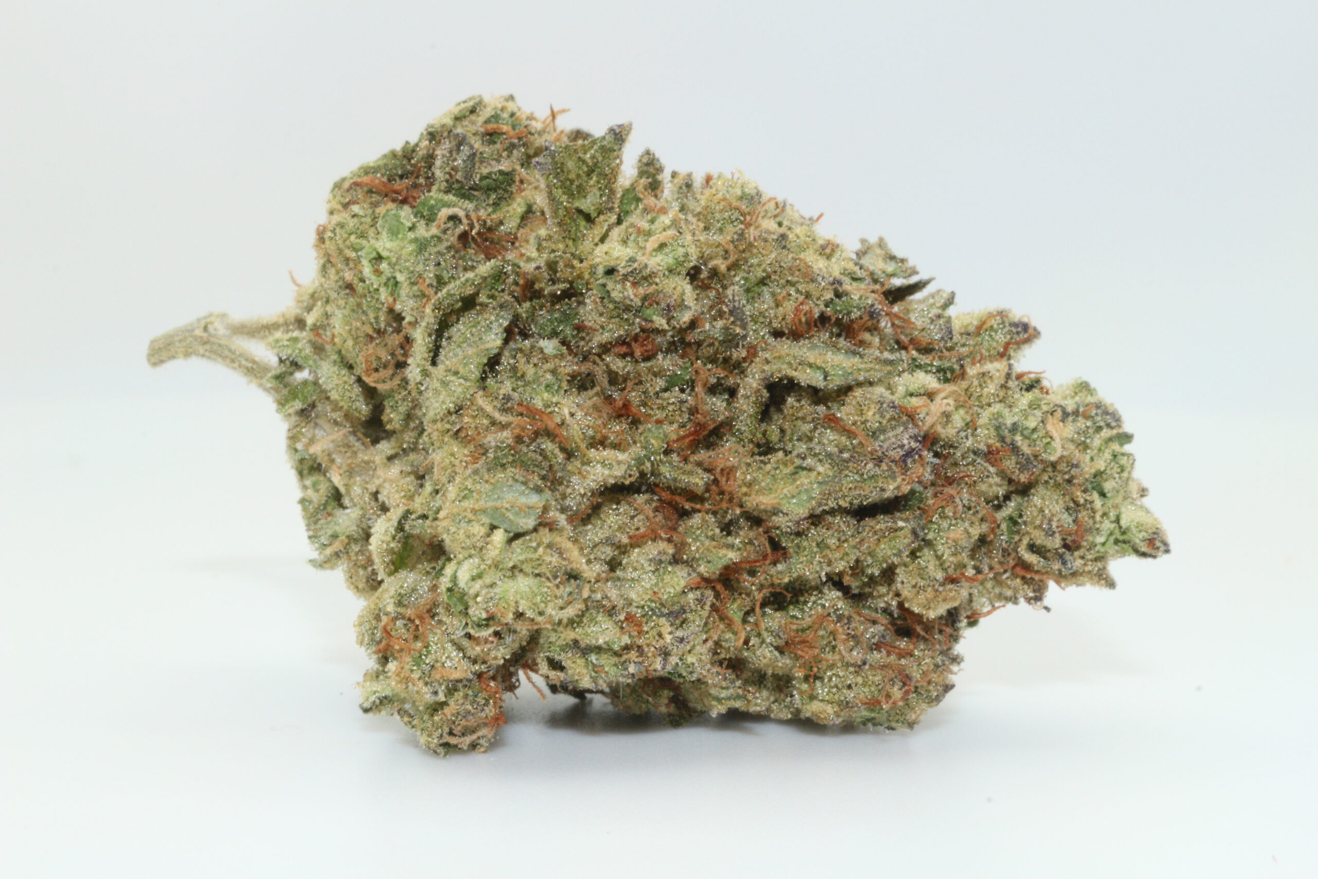 Mango Kush THCA Hemp Flower