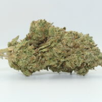 Marmalade THCA Hemp Flower