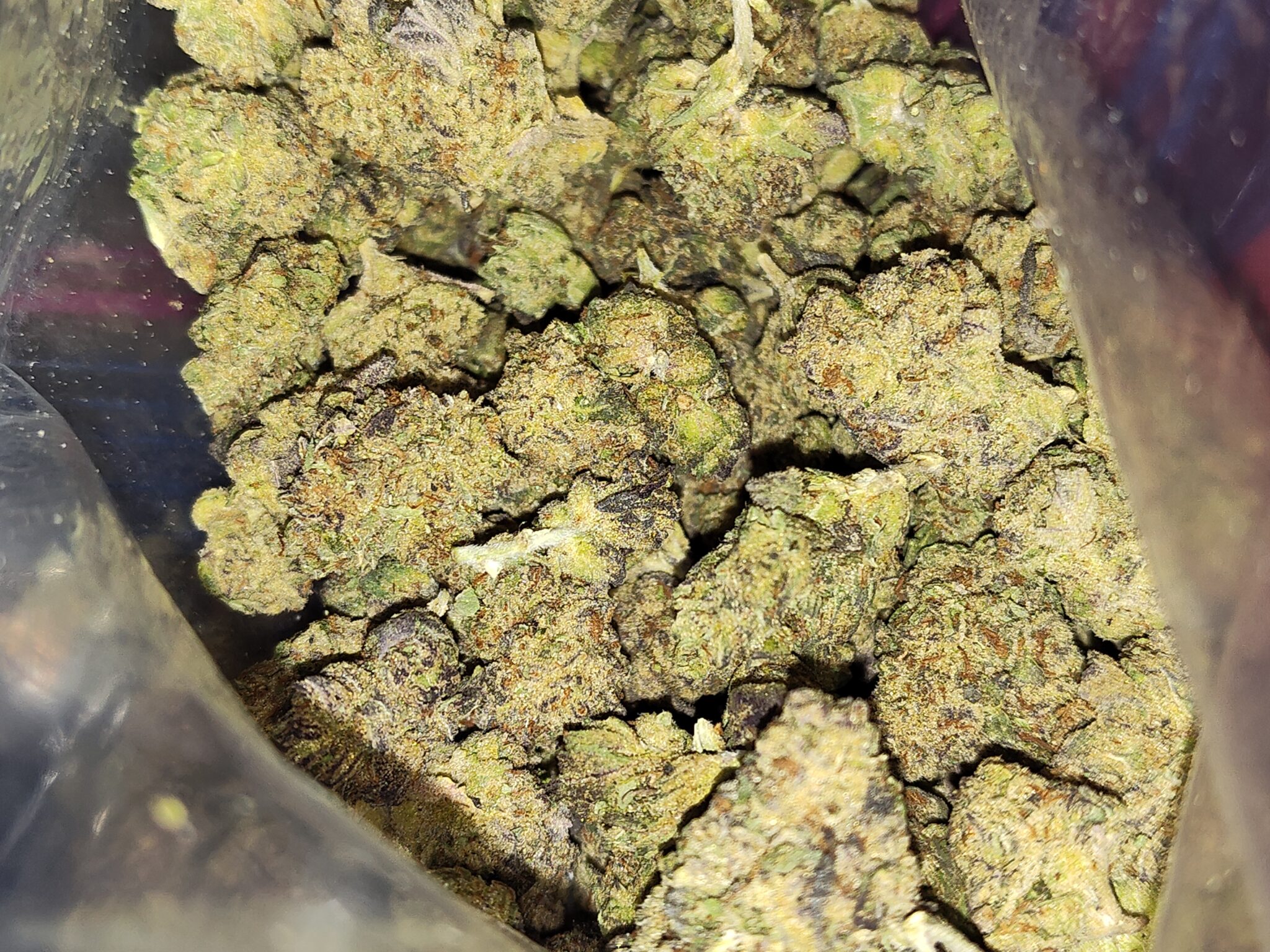 Image #1 from Daniel C.