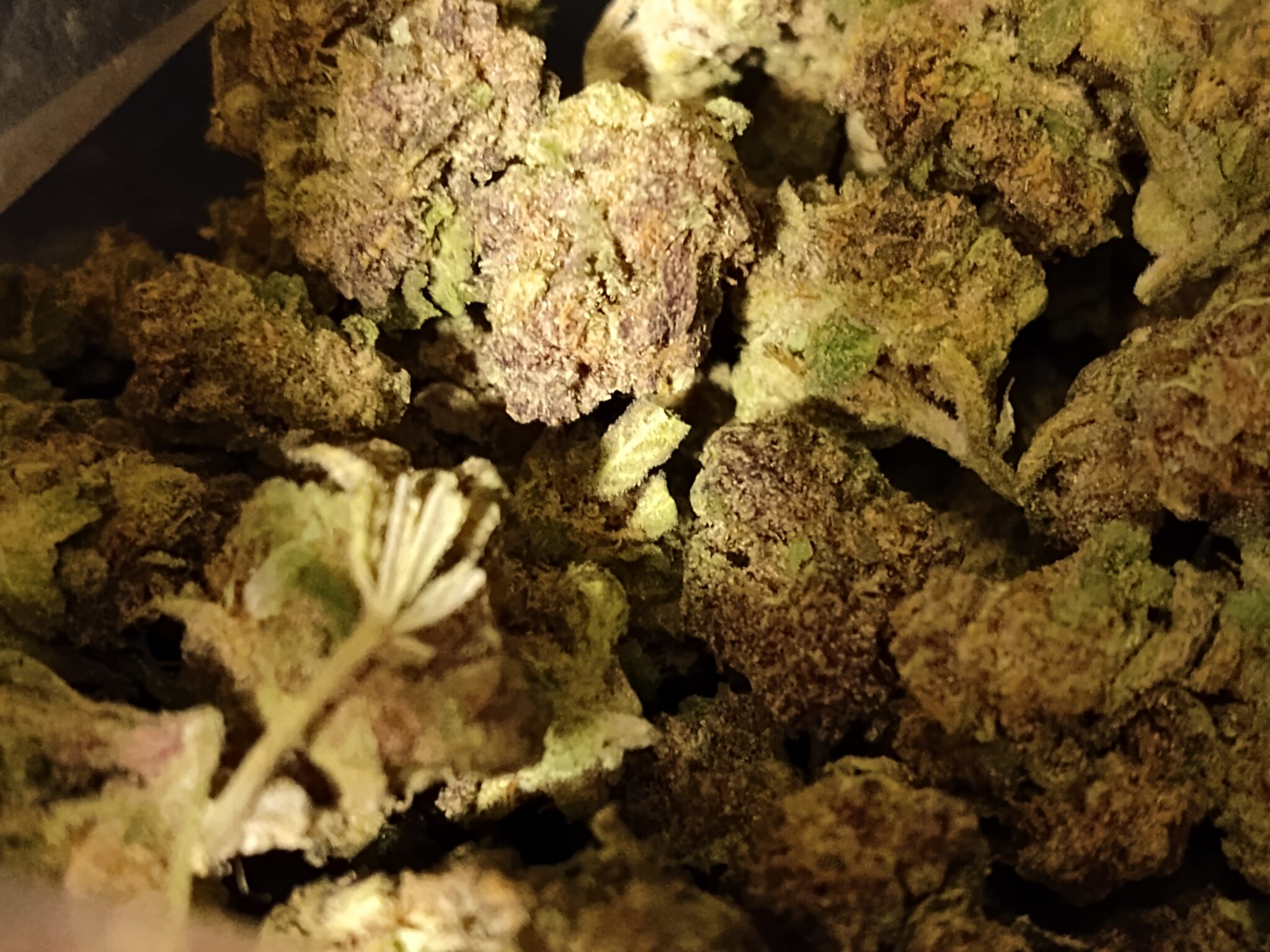 Image #2 from Daniel C.