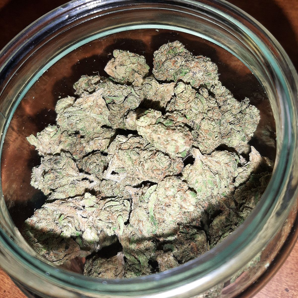 Image #1 from Dr.Ganja Customer