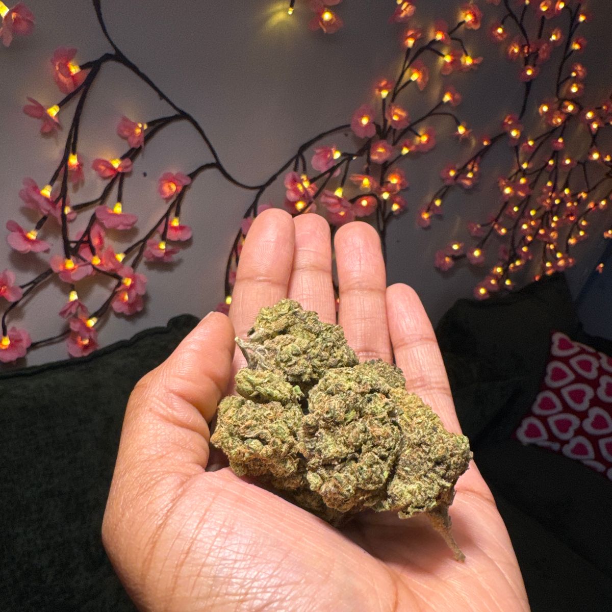 Image #1 from Dr.Ganja Customer