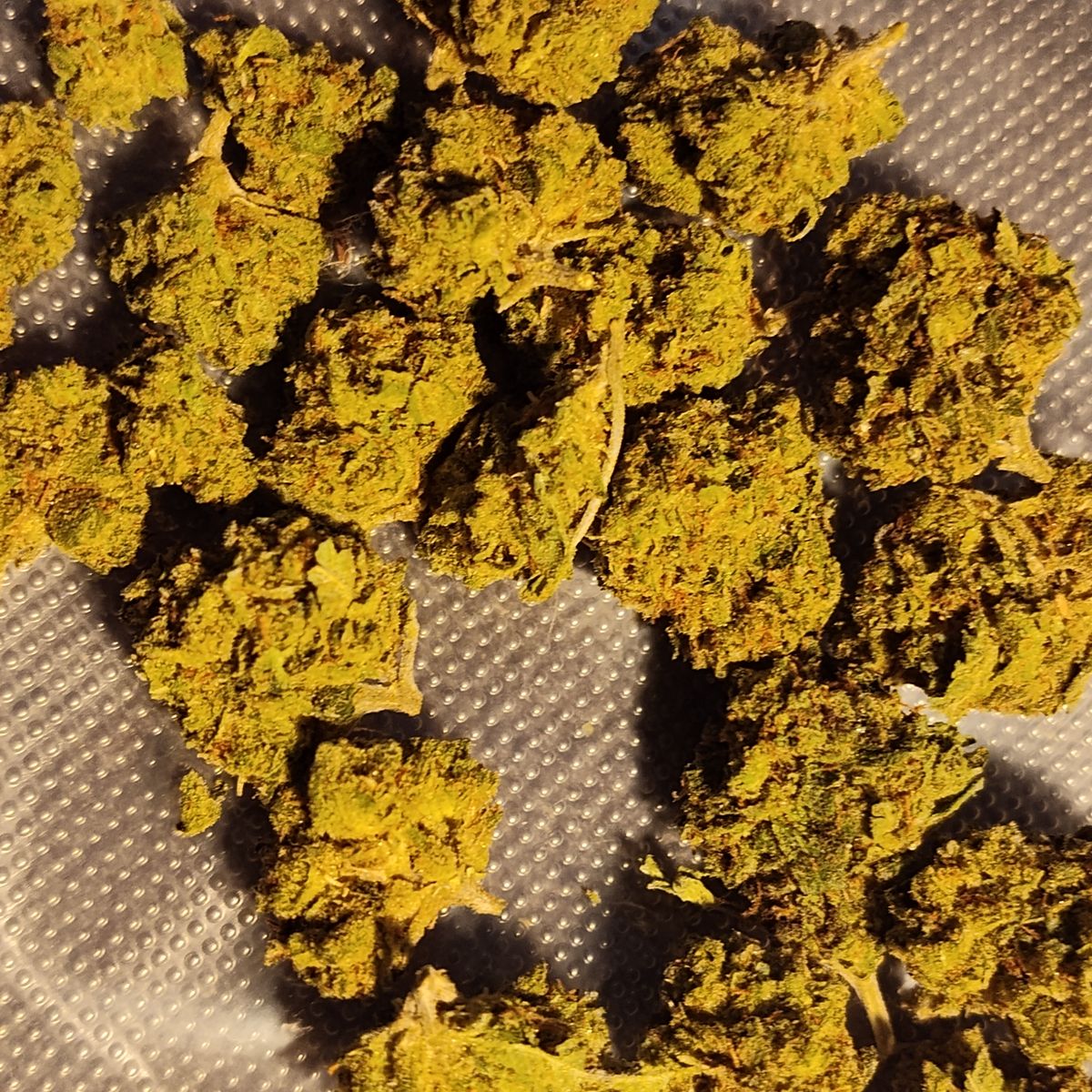 Image #1 from Daniel C.