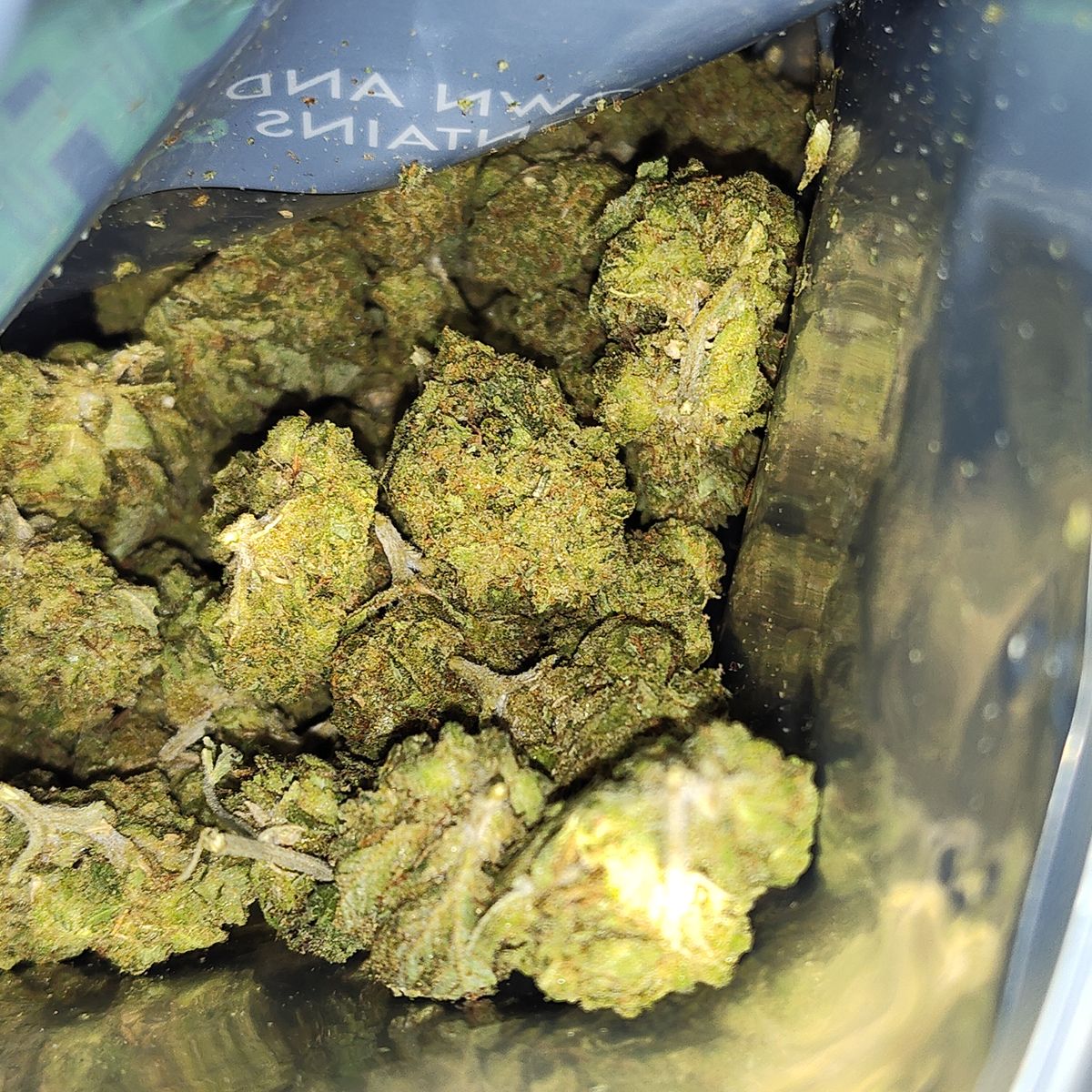 Image #2 from Daniel C.