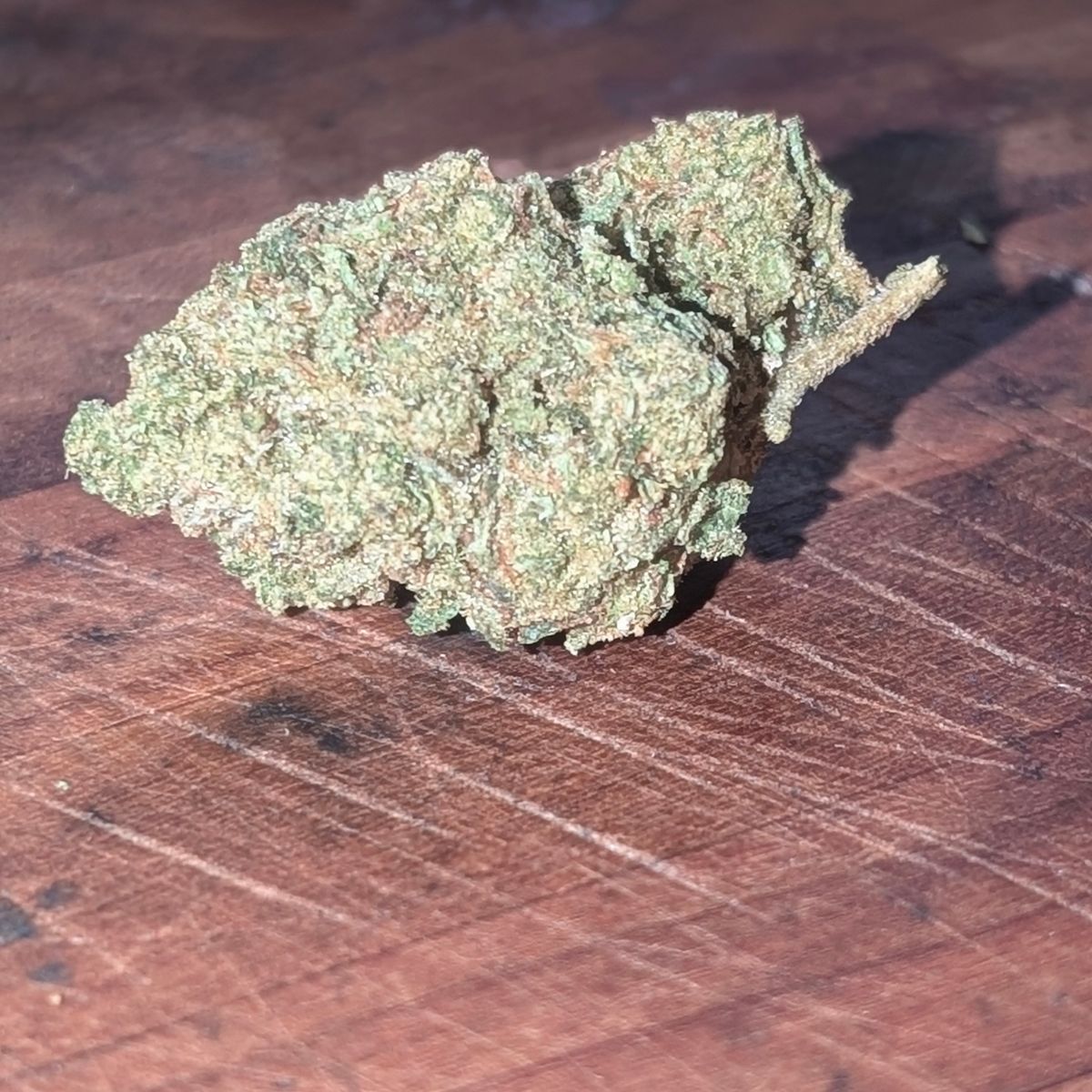 Image #1 from Benjamin Spear