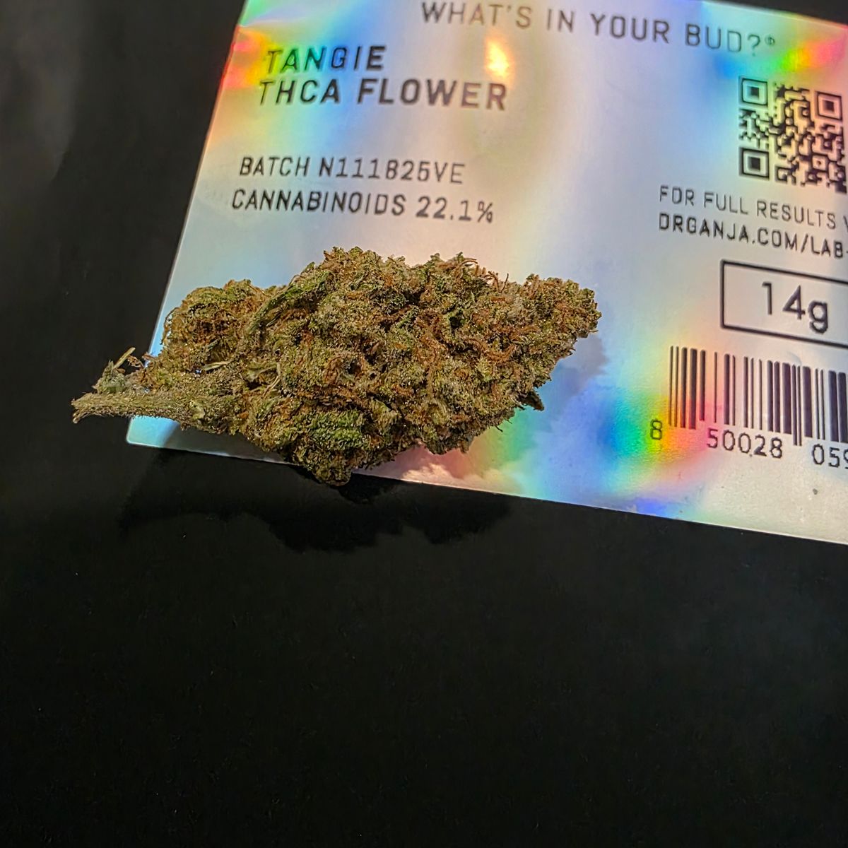 Image #1 from Kimberly B.