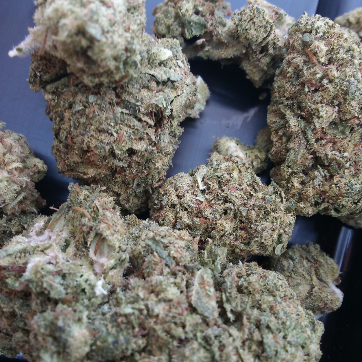 Image #1 from Christopher Mcglory