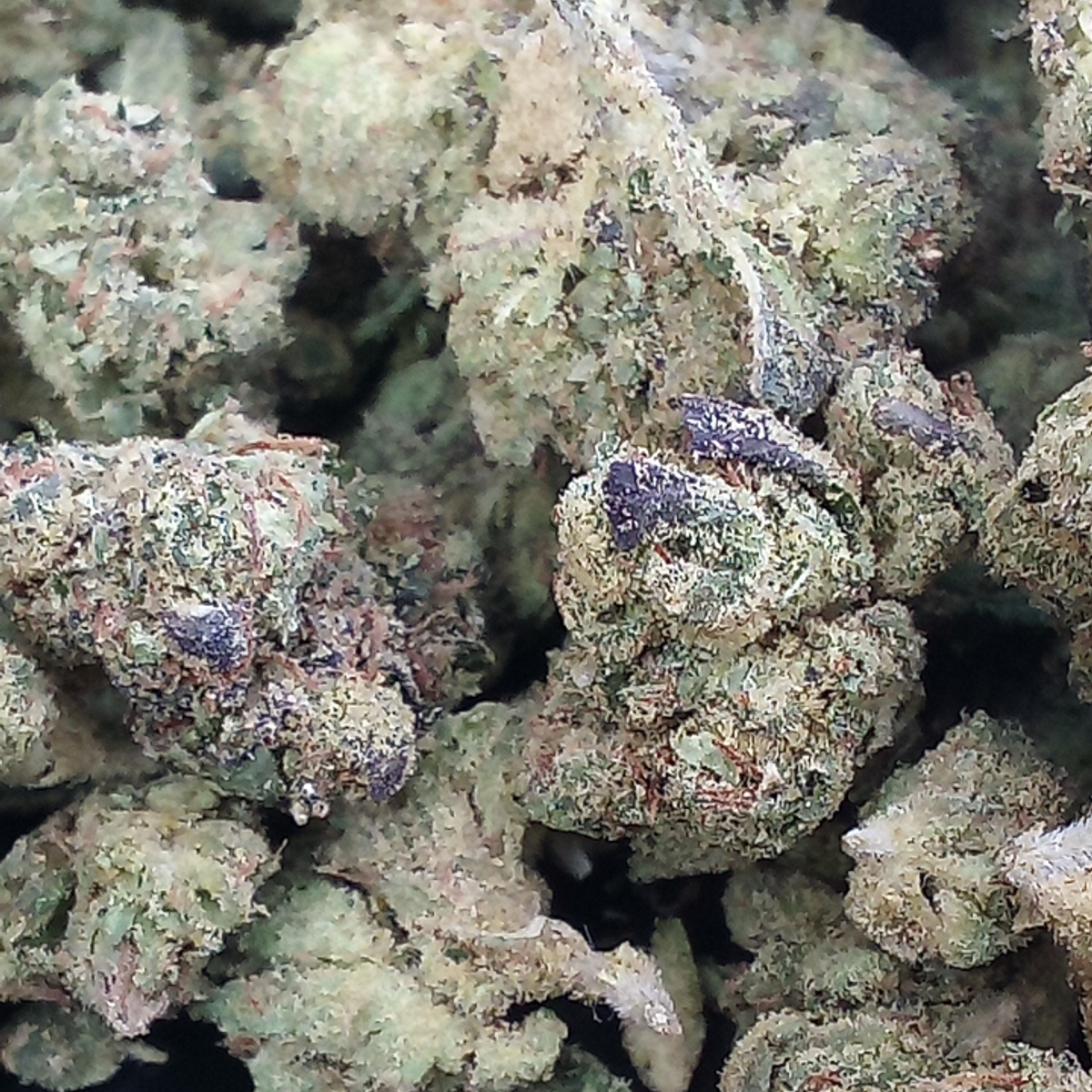 Image #1 from Christopher Mcglory