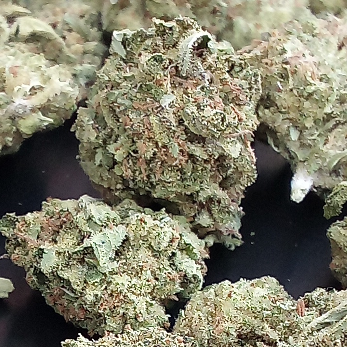 Image #2 from Christopher mcglory